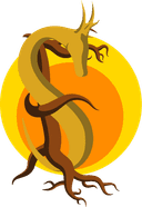 SanaEase logo
